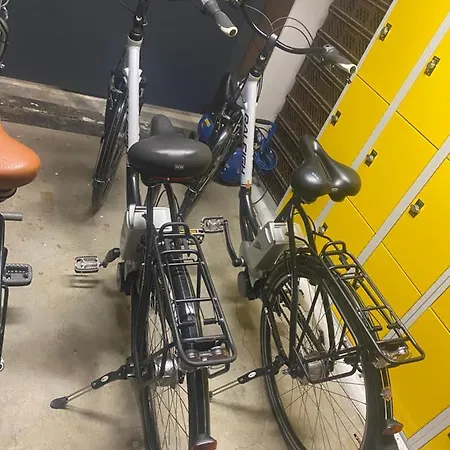 „thea“ * Bad Lausick