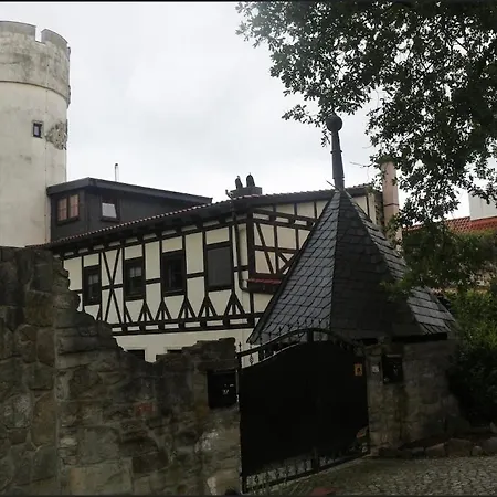 „thea“ 아파트 바트 라우직